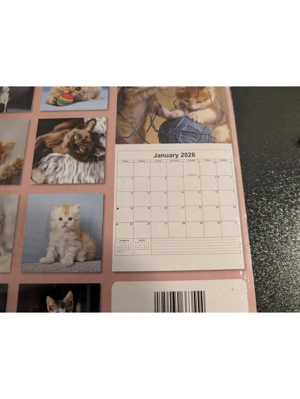 2026 Kittens 12-Month Wall Calendar - 12